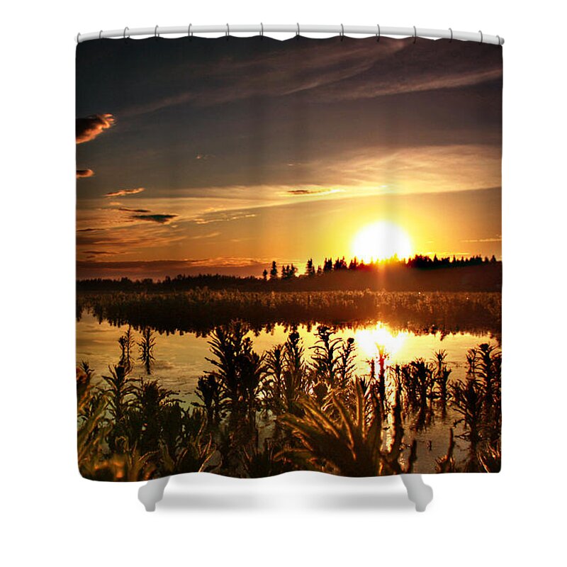 Landscapes Shower Curtain featuring the photograph My sandy Floors by J C
