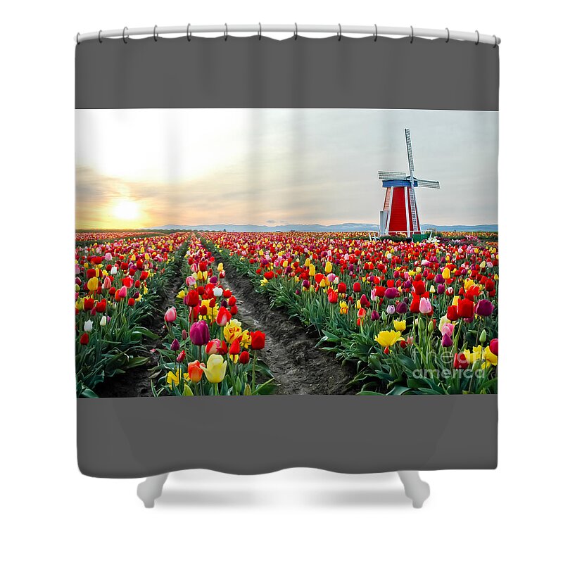 Tulips Shower Curtain featuring the photograph My Touch Of Holland 2 by Nick Boren