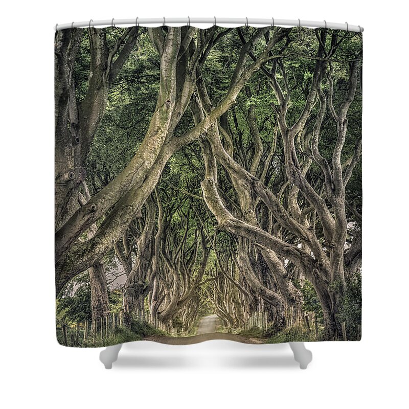 Dark Hedges; Hedges; Ireland; Northern Ireland; Britain; Road; Dark; Tree; Trees; Stick; Brunch; Leaves; Green; Passage; Way; Corridor; Tunnel; Mood; Moody; Mystic; Mystical; Mystery; Mysterious; Country; Countryside; Rural; Nature; Landscape; Kremsdorf; Evelina Kremsdorf Shower Curtain featuring the photograph Mysterious Ways by Evelina Kremsdorf