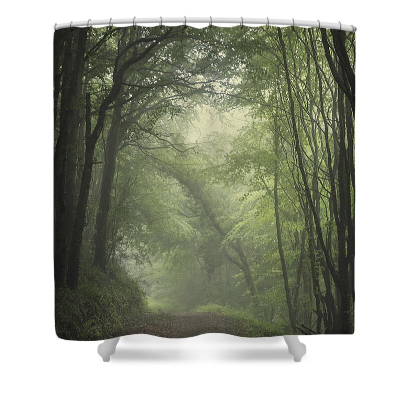 Ireland Shower Curtain featuring the photograph Mystery Awakens by Evelina Kremsdorf