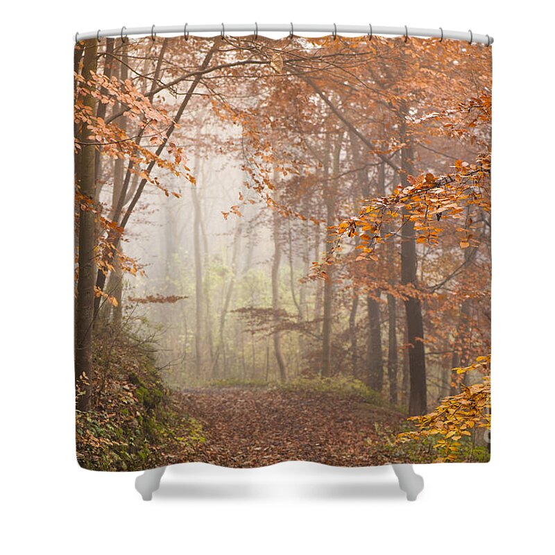 Atmospheric Shower Curtain featuring the photograph Mystic Woods by Anne Gilbert