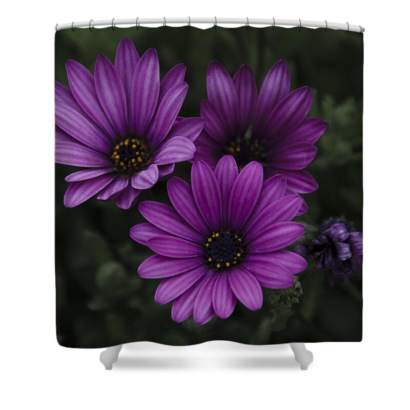 Mystical Shower Curtain featuring the photograph Mystical Purple by Penny Lisowski
