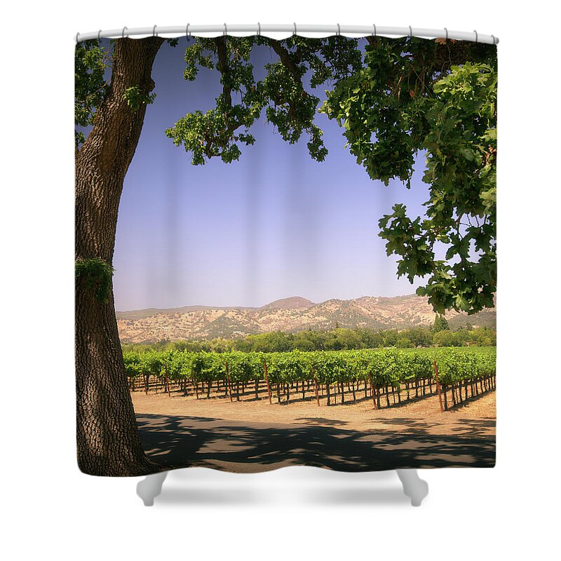 Shadow Shower Curtain featuring the photograph Napa Valley Vineyard by Lordrunar