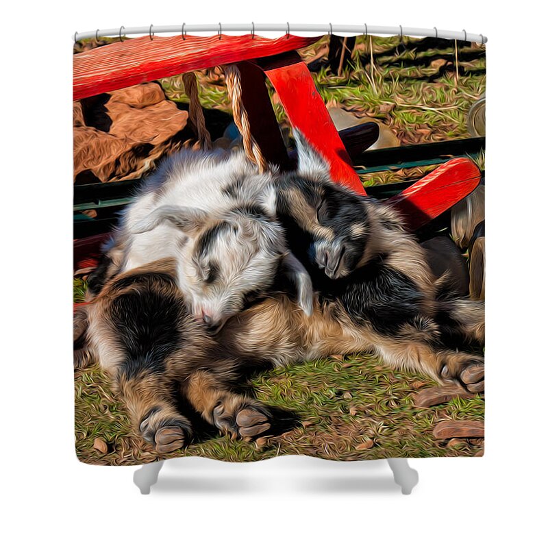 Baby Goats Shower Curtain featuring the photograph Napping with a Friend by Kathleen Bishop