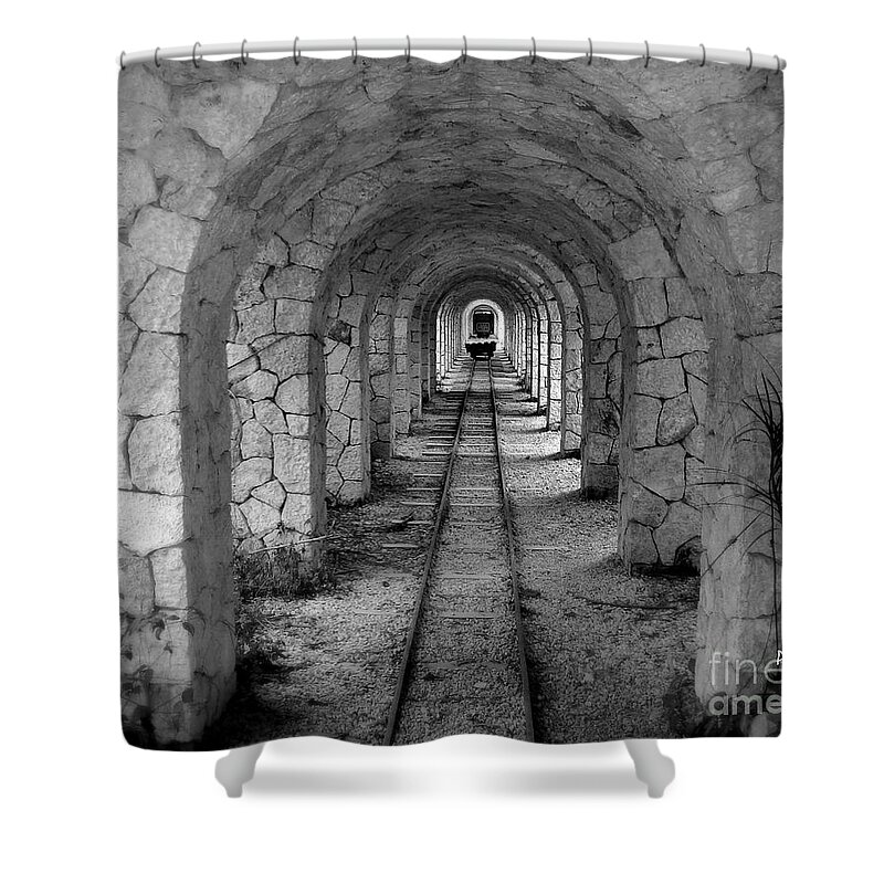 Arched Narrow Gauge Shower Curtain featuring the photograph Arched Narrow Gauge by Patrick Witz