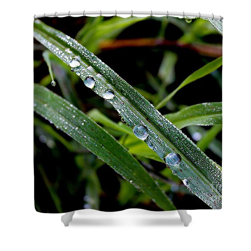 Water Shower Curtain featuring the photograph Natural Beauty by Clare Bevan