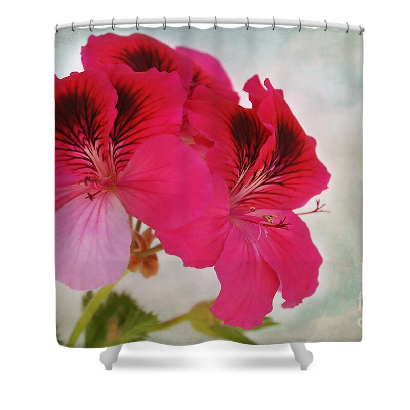 Claudia's Art Dream Shower Curtain featuring the photograph Natural Beauty by Claudia Ellis