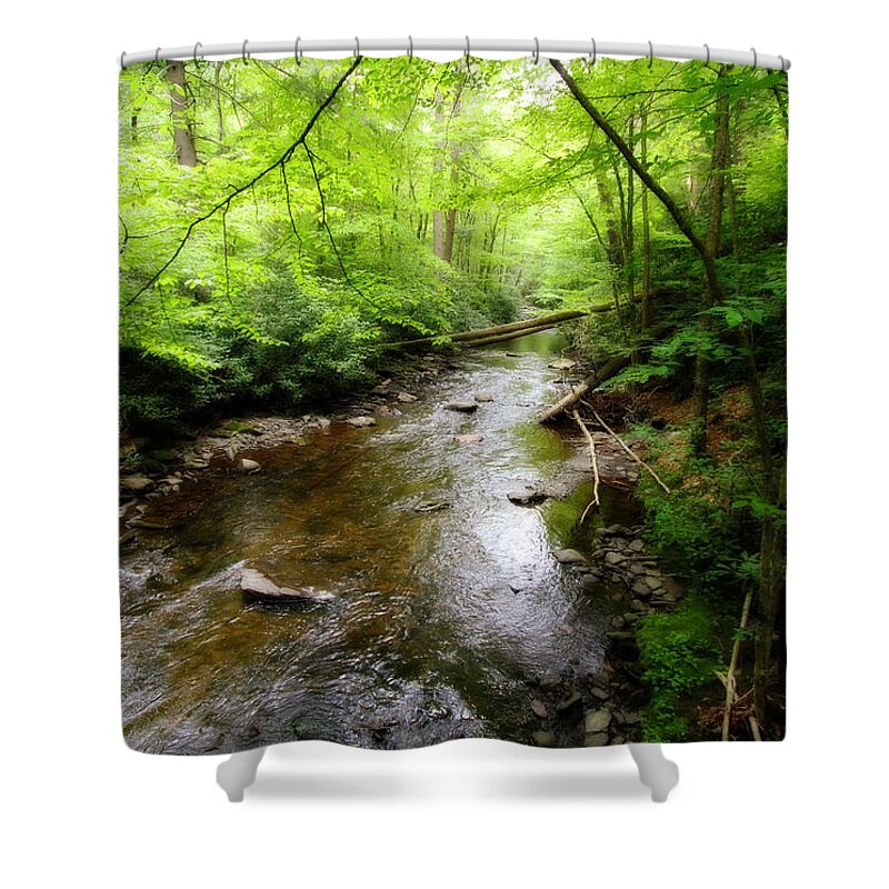 Nature Shower Curtain featuring the photograph Natural Beauty by Trina Ansel