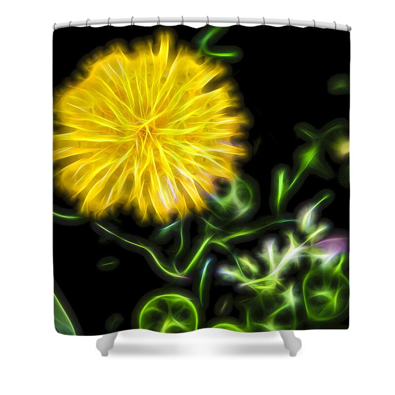 Flower Shower Curtain featuring the photograph Natural Electric beauty by Theodore Jones