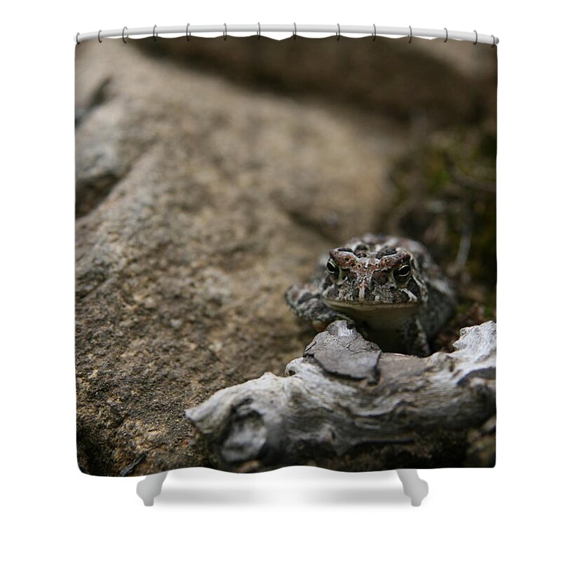 Nature's Expressions Shower Curtain featuring the photograph Natural Expression of a Fowler Toad by Neal Eslinger