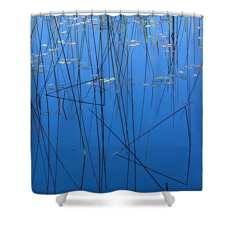 Reeds Shower Curtain featuring the photograph Nature's Abstract in Blue 1 by Peggy Collins