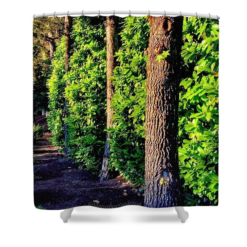 Nature Shower Curtain featuring the photograph Natures Fence by Anna Porter