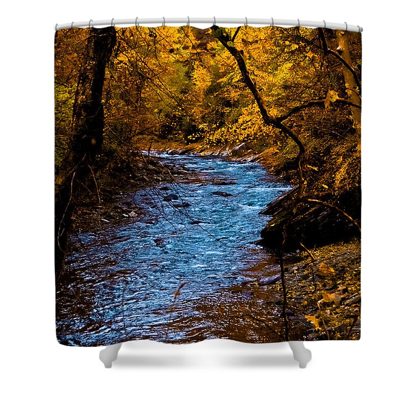 Creek Shower Curtain featuring the photograph Natures Golden Secret by DigiArt Diaries by Vicky B Fuller