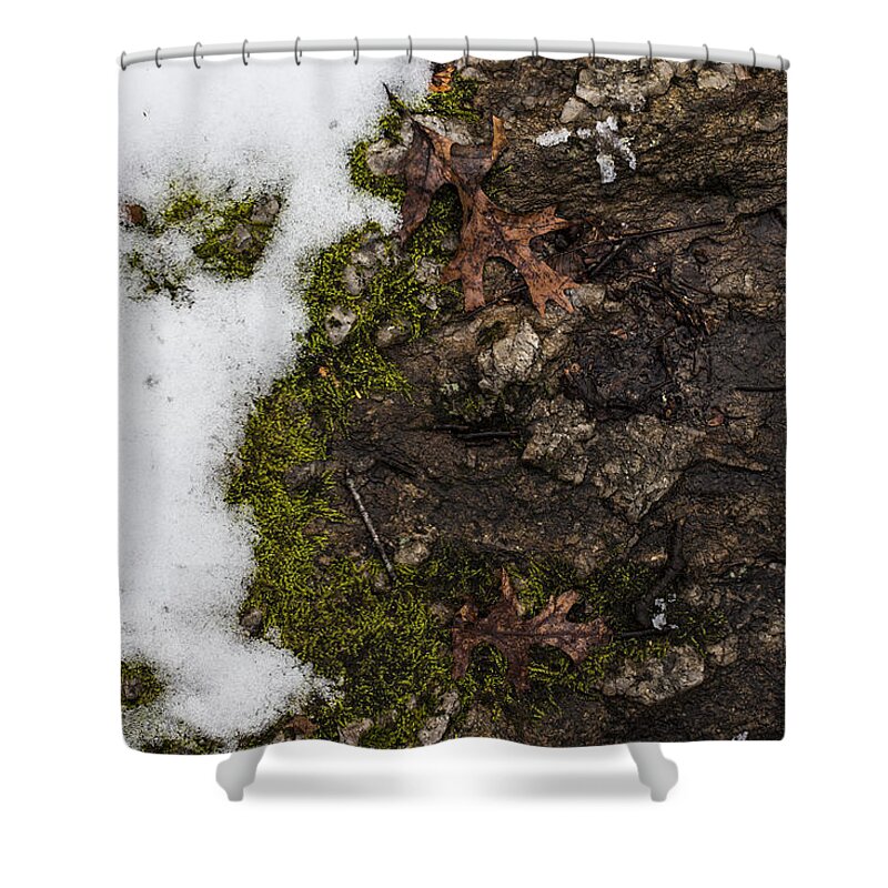 Andrew Pacheco Shower Curtain featuring the photograph Nature's Still Life by Andrew Pacheco