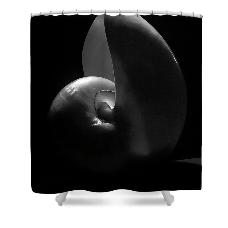 Nautilus Shower Curtain featuring the photograph Nautilus by Donna Blackhall