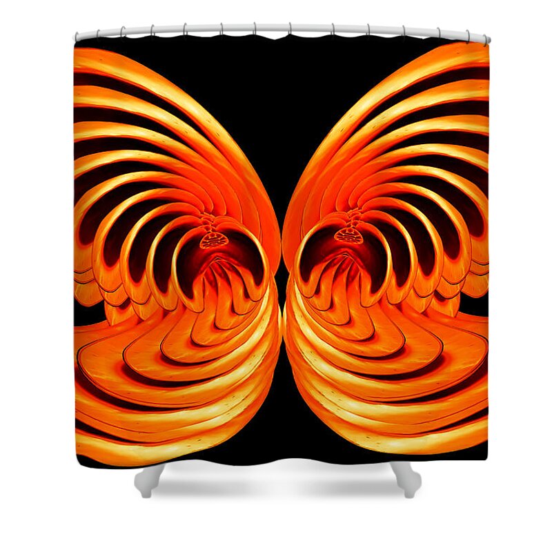 Composite Shower Curtain featuring the photograph Nautilus Wings by Jim Painter