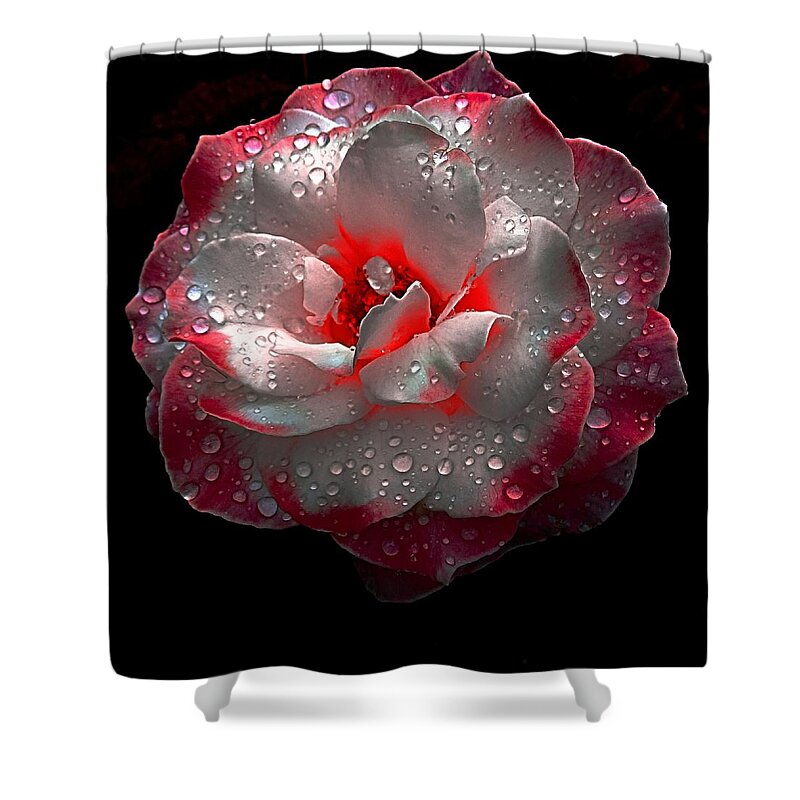 Rose Shower Curtain featuring the photograph Neon Touch by Nick Kloepping