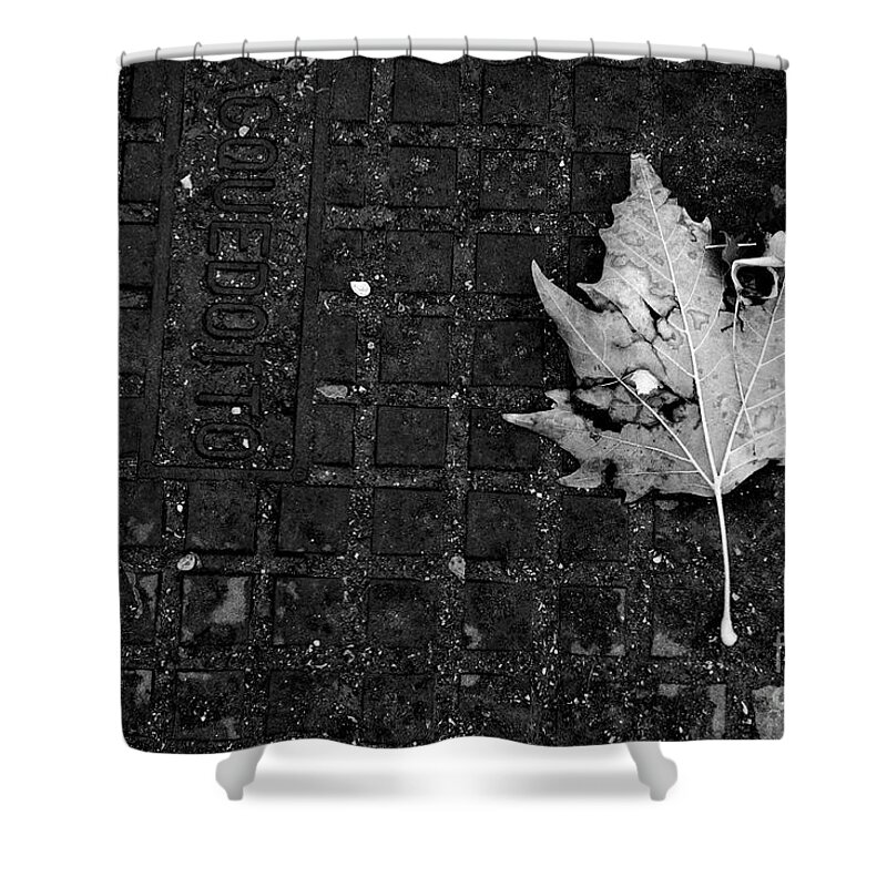 Leaf Shower Curtain featuring the photograph Never Let you Down by Donato Iannuzzi