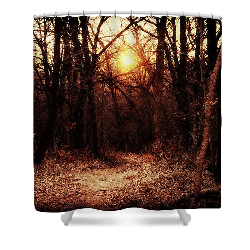 Sunset Shower Curtain featuring the photograph New Beginnings by Julie Hamilton