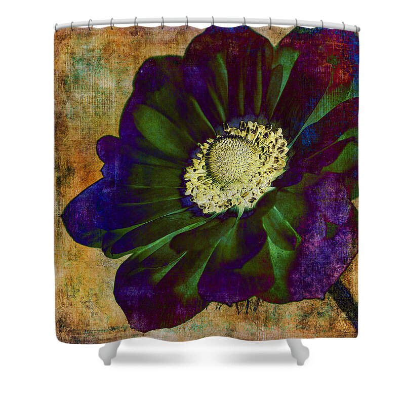 Anemone Shower Curtain featuring the photograph New Hue by Caitlyn Grasso