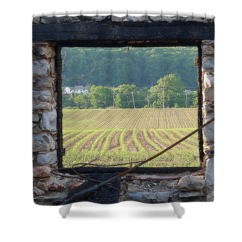 Richard Reeve Shower Curtain featuring the photograph New Life Through the Window by Richard Reeve