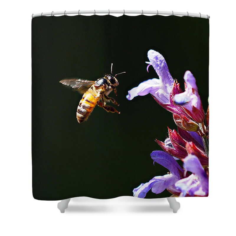 Bees Shower Curtain featuring the photograph New Rider of the Purple Sage by Joe Schofield