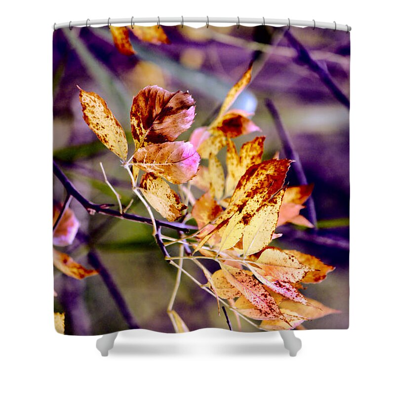 Fall Foliage Shower Curtain featuring the photograph Night Fire by Sylvia Thornton