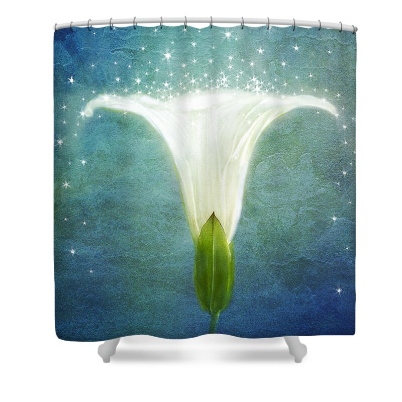 Morning Glory Flower Shower Curtain featuring the photograph Night Glory by Marina Kojukhova