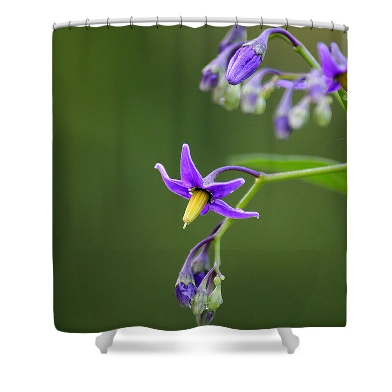 Flower Shower Curtain featuring the photograph Nightshade View  by Neal Eslinger