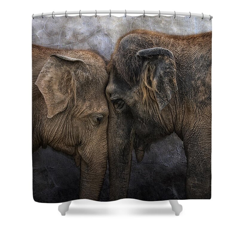 Animal Shower Curtain featuring the photograph Nighty Night Darling by Joachim G Pinkawa