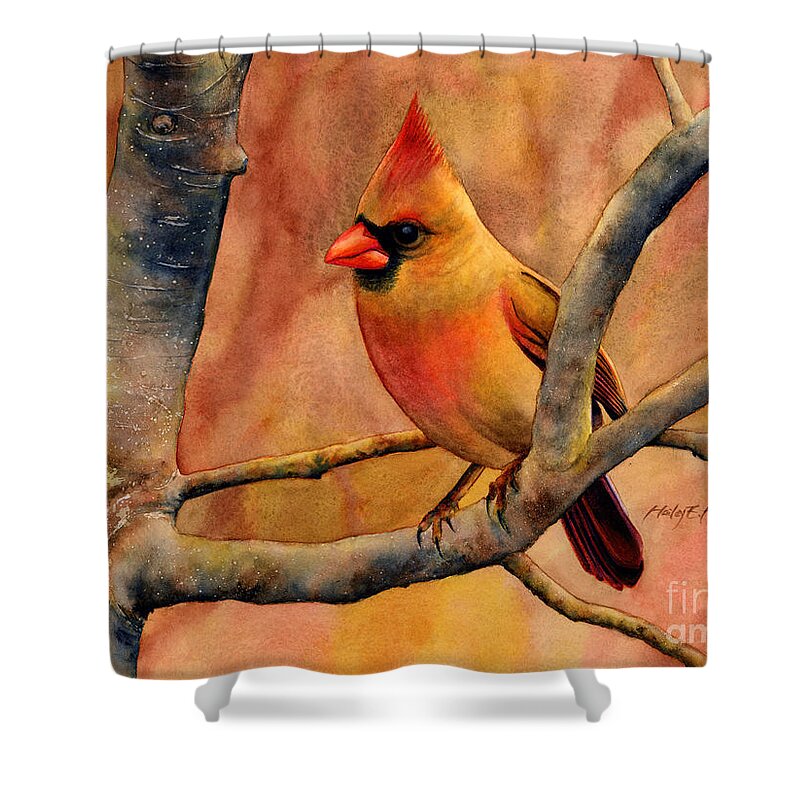 Cardinal Shower Curtain featuring the painting Northern Cardinal II by Hailey E Herrera