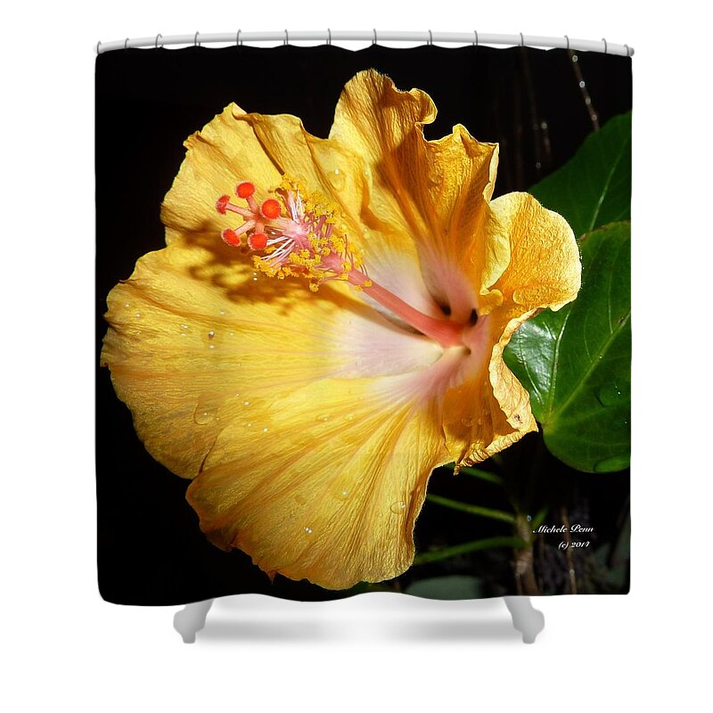 Flower Photograph Shower Curtain featuring the photograph Perfect Escape #2 by Michele Penn