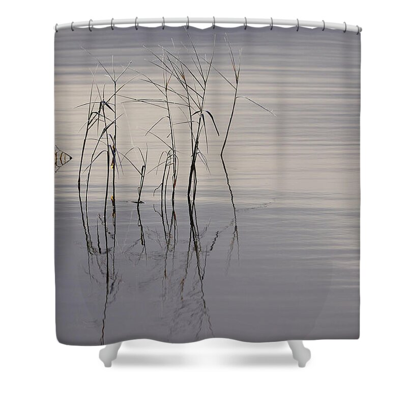 Lehto Shower Curtain featuring the photograph November by Jouko Lehto