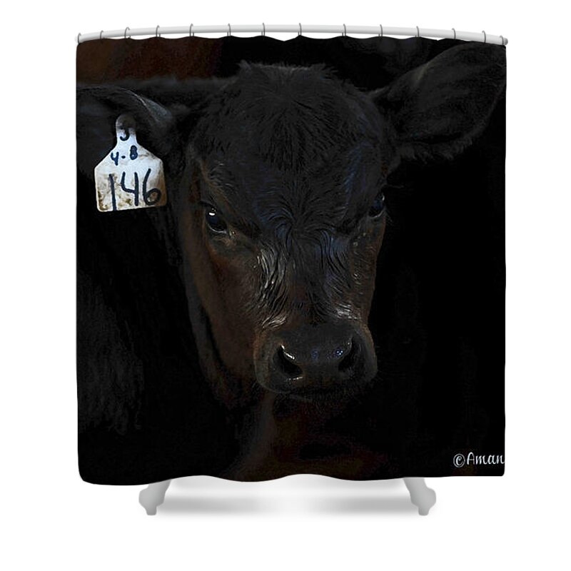 Calf Shower Curtain featuring the photograph Number 146 by Amanda Smith