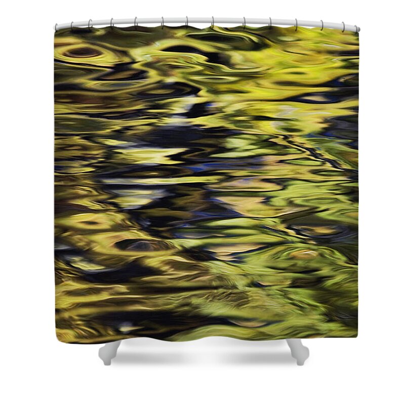 Light Shower Curtain featuring the photograph Oak And Maple Trees Reflections In by Thomas Kitchin & Victoria Hurst
