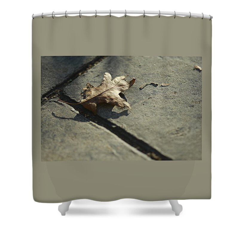 Fall Shower Curtain featuring the photograph Oak Leaf on Autumn Sidewalk by Valerie Collins