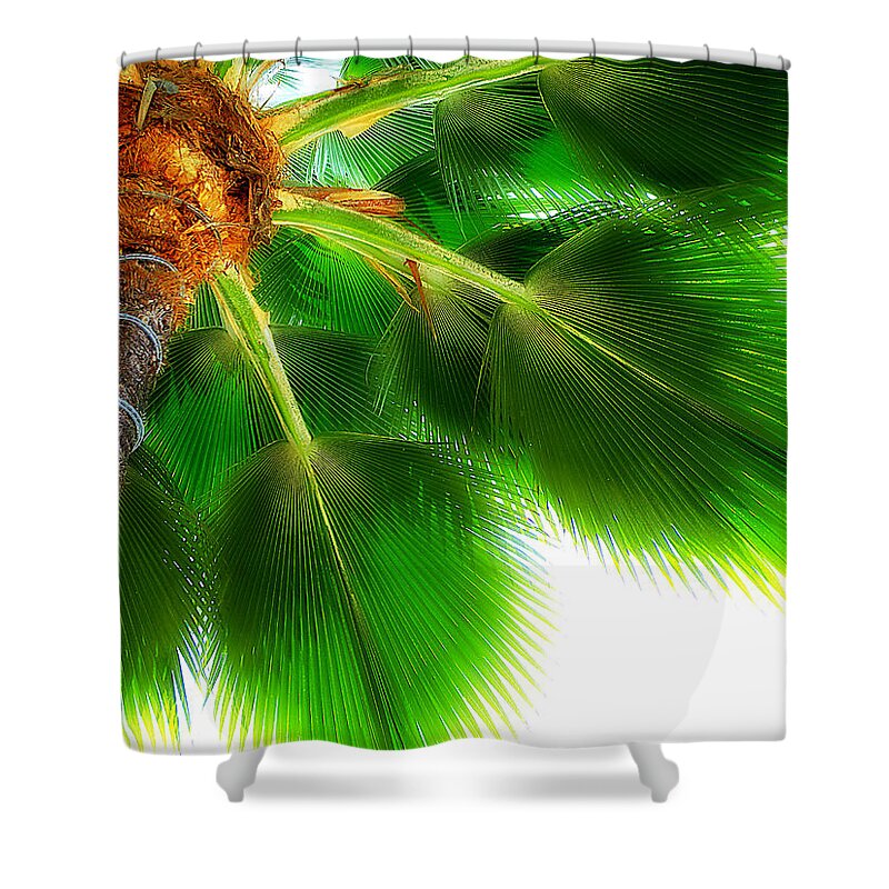 Oasis Shower Curtain featuring the photograph Oasis by Micki Findlay