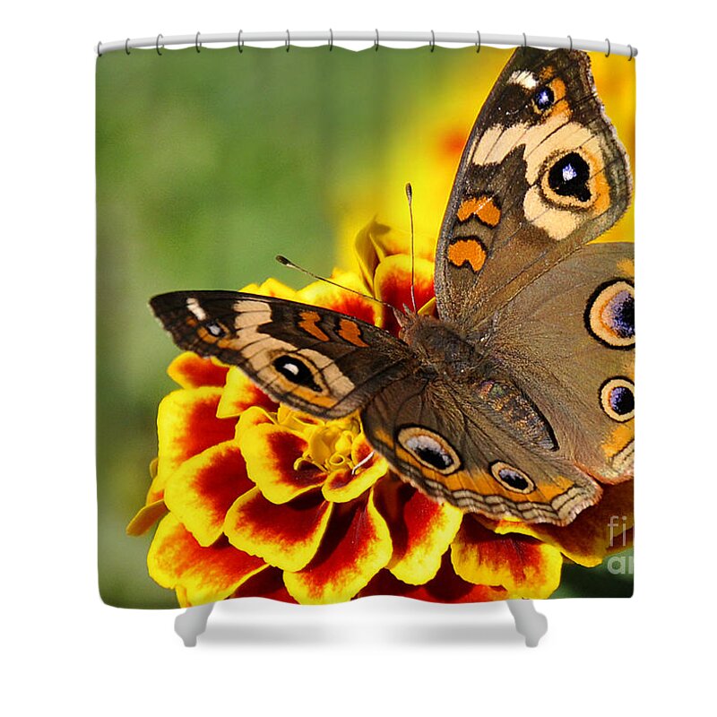 Nature Shower Curtain featuring the photograph October Garden by Nava Thompson