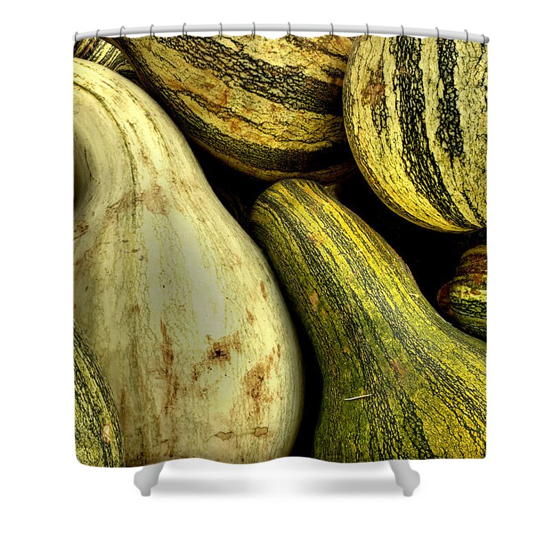 Gourds Shower Curtain featuring the photograph October Gourds by Michael Eingle