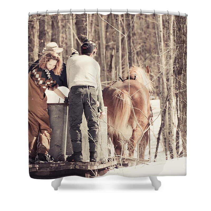 Maple Syrup Shower Curtain featuring the photograph Off for more Sap by Cheryl Baxter
