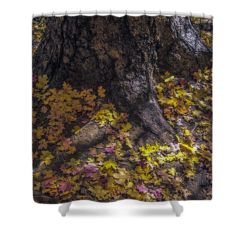West Fork Shower Curtain featuring the photograph Offerings by Tam Ryan
