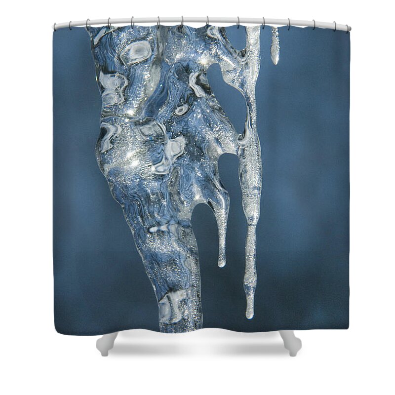 Icicles Shower Curtain featuring the photograph Offspring by Sandra Bronstein