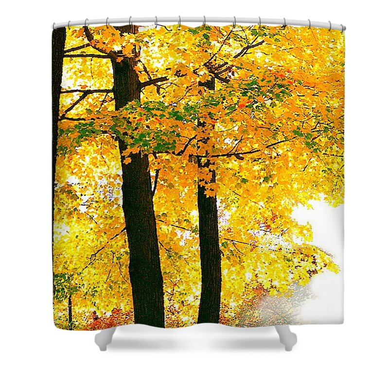 Landscape Shower Curtain featuring the digital art Ohio Autumn by Tim Richards