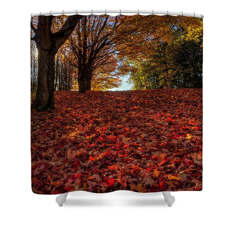 Fall Foliage Shower Curtain featuring the photograph Ohio Fall Scenery by David Dufresne