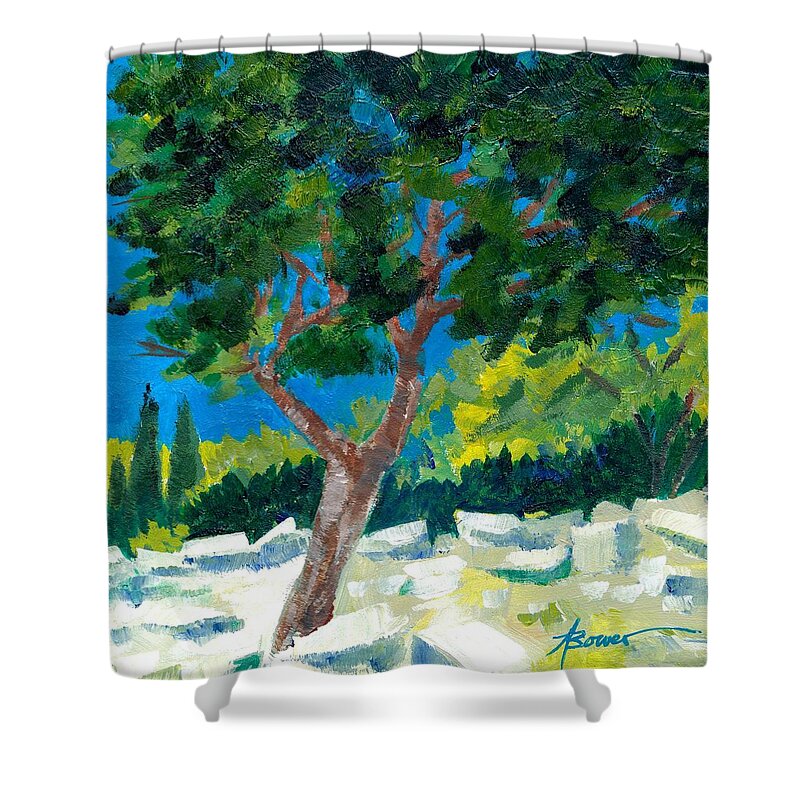 Trees Shower Curtain featuring the painting Old Ruins at Rhodes by Adele Bower