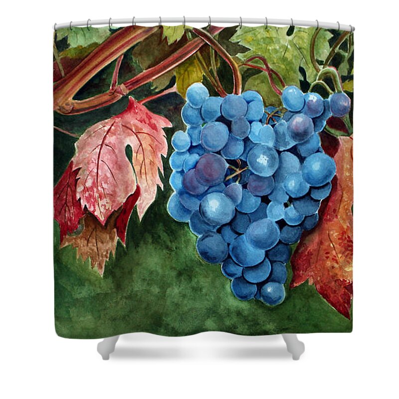 Grapes Shower Curtain featuring the painting Old Vine Zinfandel by Debbie Hart