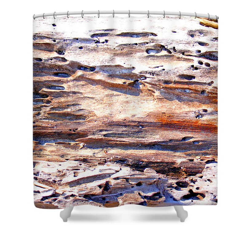 Wood Shower Curtain featuring the photograph Old Weathered Log on the Sea Shore by Duane McCullough