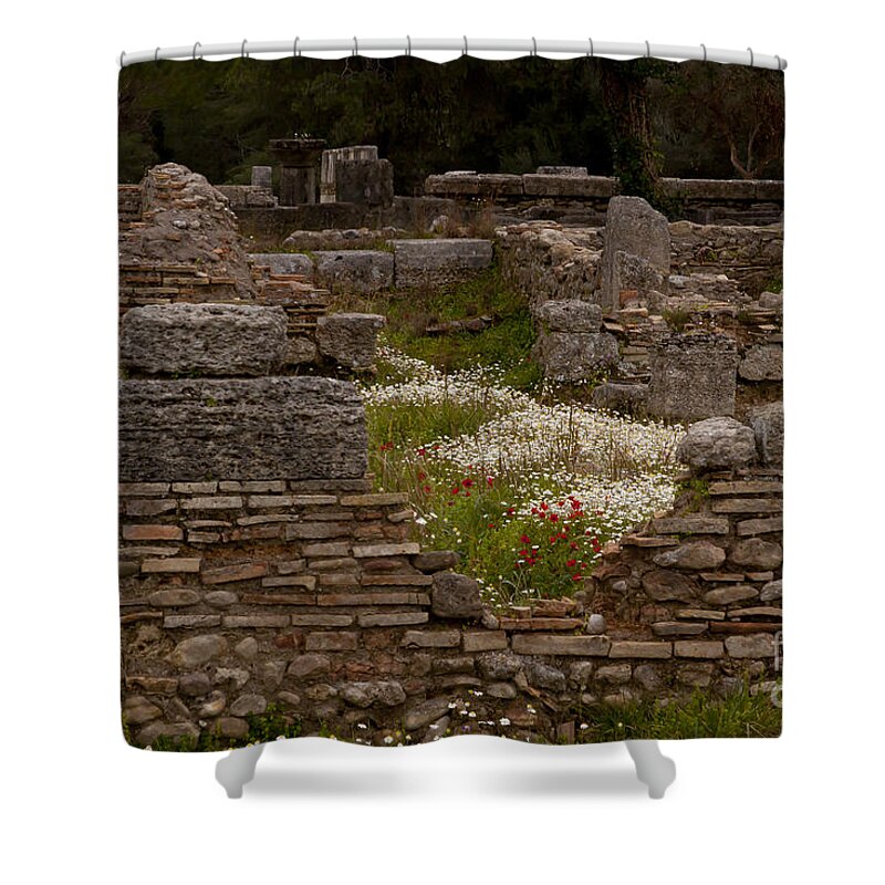 Ruins Shower Curtain featuring the photograph Olympia Ruins And Wild Flowers  #9684 by J L Woody Wooden