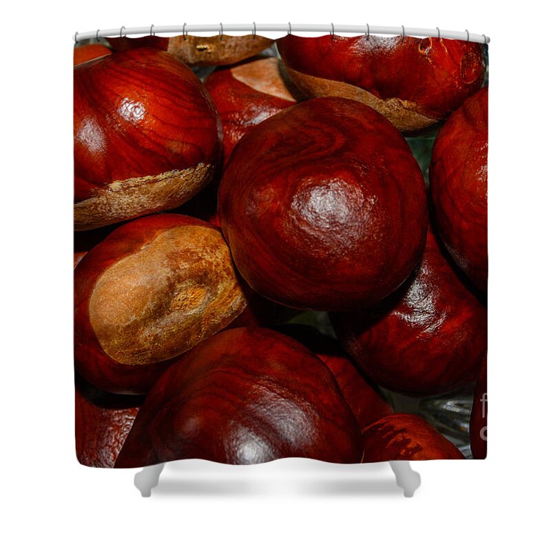 Chestnuts Shower Curtain featuring the photograph On a Open Fire by Tikvah's Hope