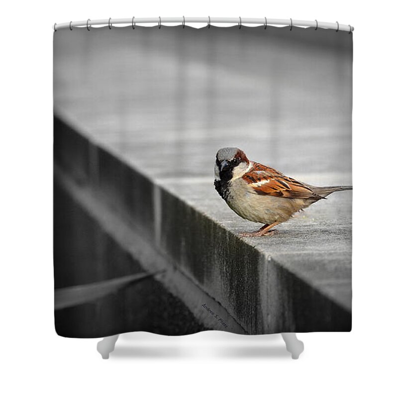 Bird Shower Curtain featuring the photograph On the Edge by Andrea Platt